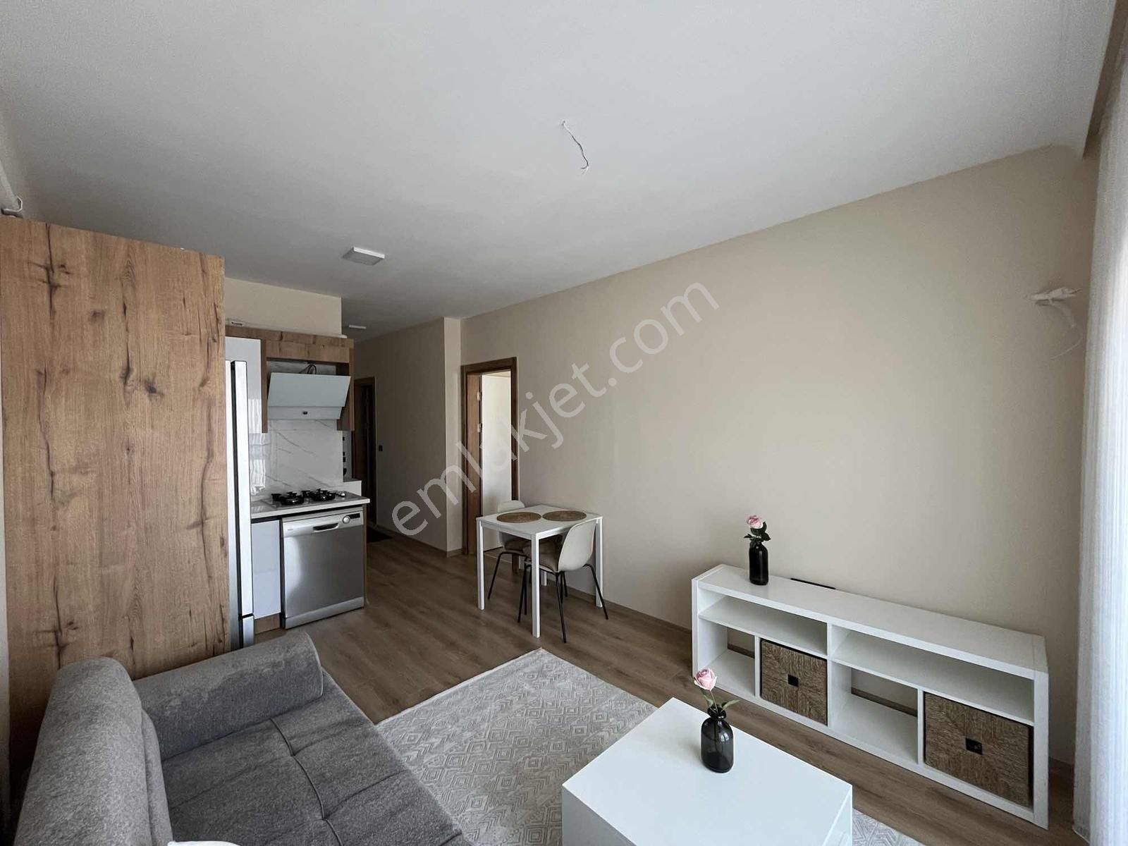 Seyrek Merkezde 1+1 Sıfır Eşyalı Kiralık Daire - Görsel 19