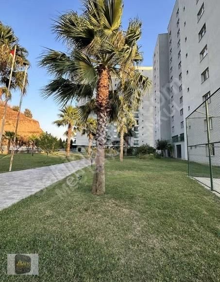 Sierra Vistada Kiracılı Rezidans 2+1 Yüksek Kira Getirili - Görsel 16
