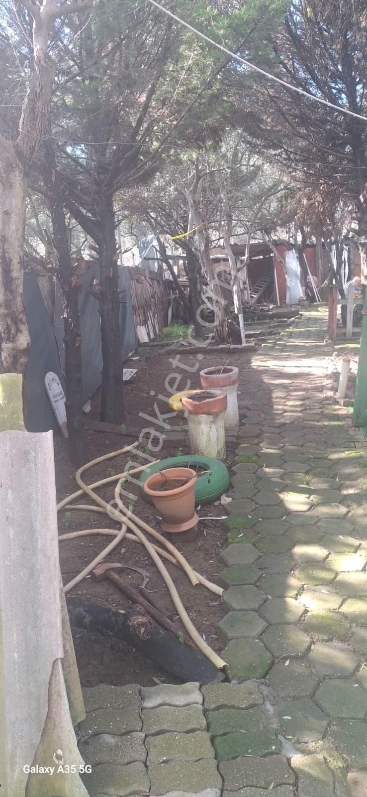 Yakamoz Emlak`tan Büyük Kumla`da Satılık Bahçeli Ev - Görsel 8