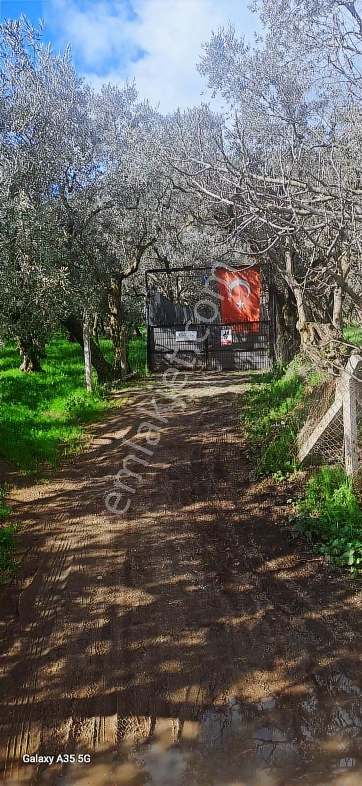 Yakamoz Emlak`tan Büyük Kumla`da Satılık Bahçeli Ev - Görsel 32