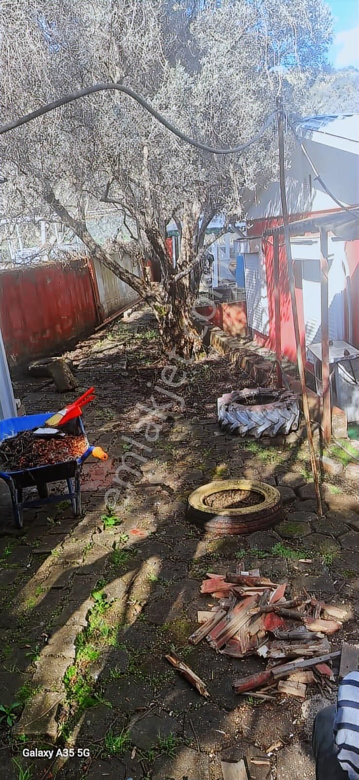 Yakamoz Emlak`tan Büyük Kumla`da Satılık Bahçeli Ev - Görsel 27