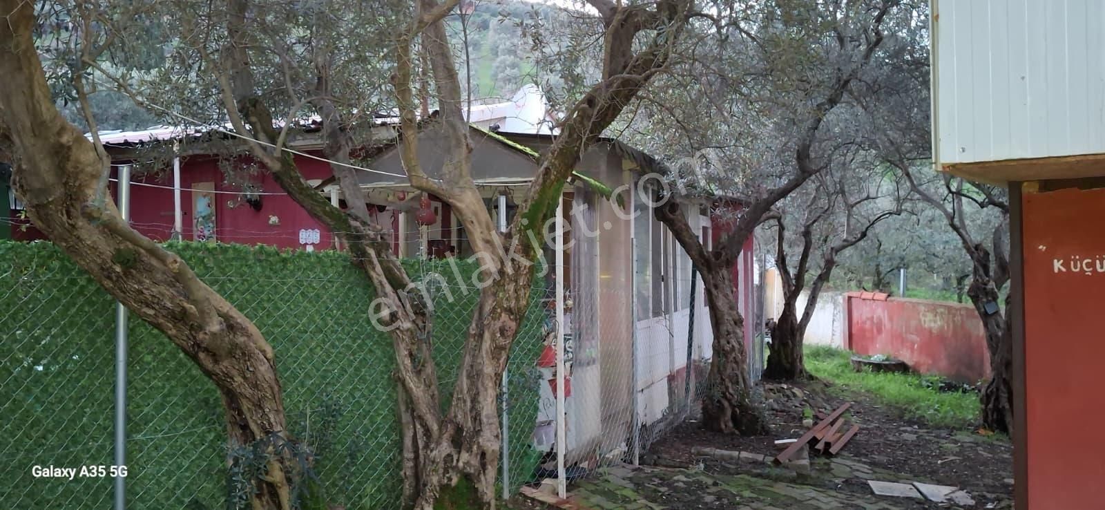 Yakamoz Emlak`tan Büyük Kumla`da Satılık Bahçeli Ev - Görsel 25