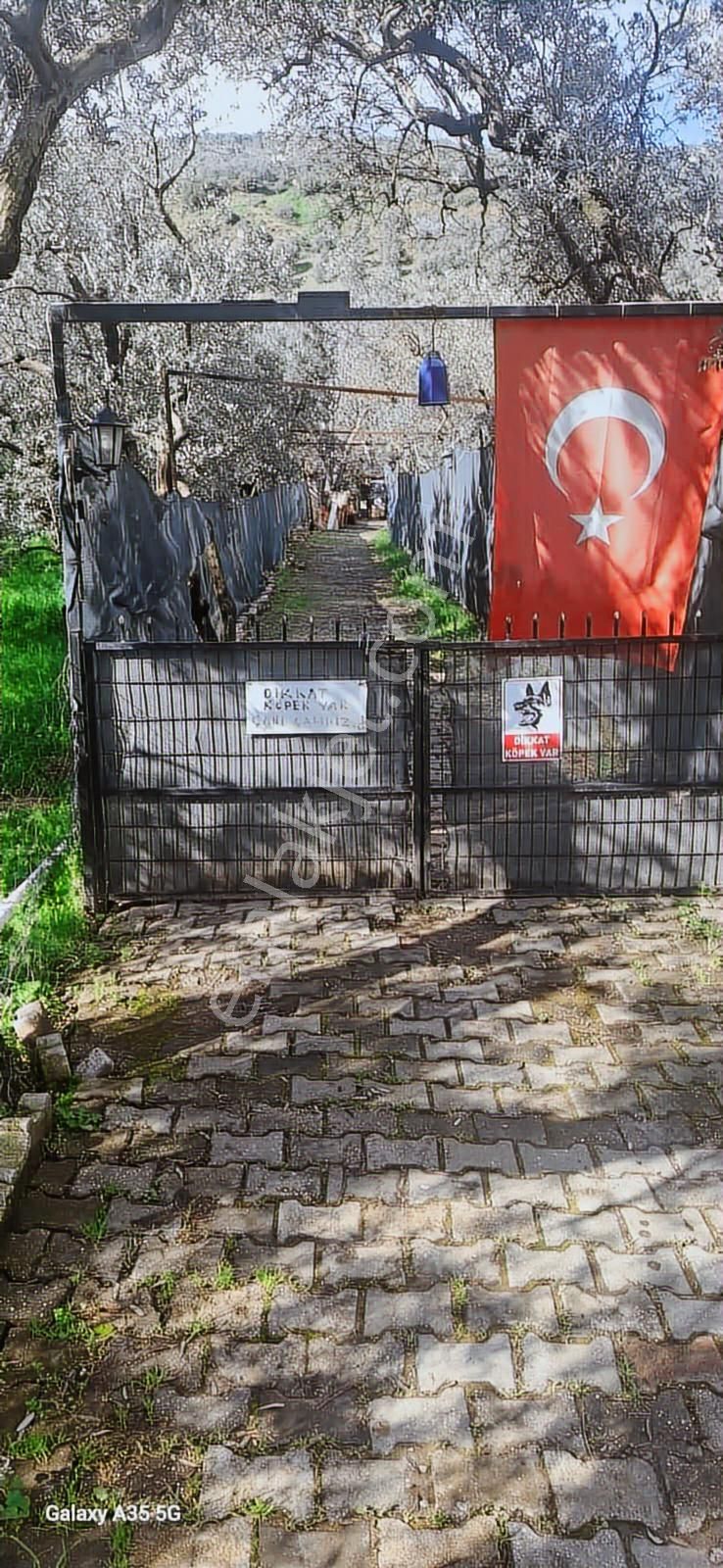 Yakamoz Emlak`tan Büyük Kumla`da Satılık Bahçeli Ev