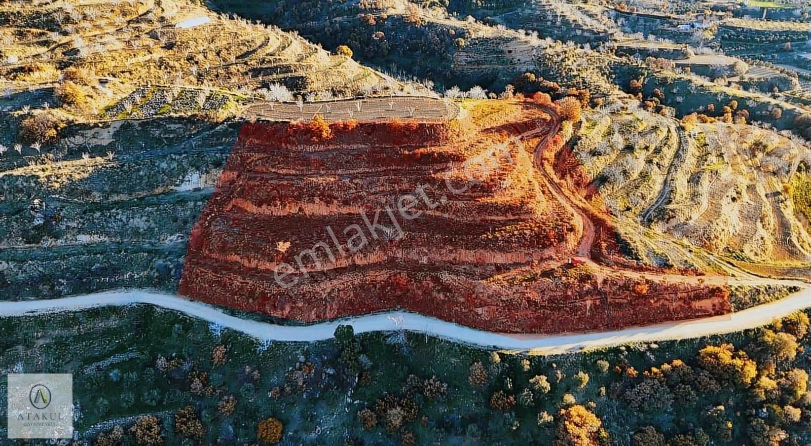 Atakul Gayrimenkul-cevizalan'da 5818m2 Köy İçi Satılık Tarla