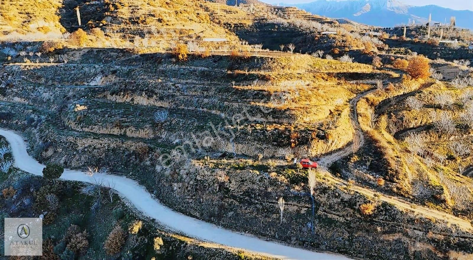 Atakul Gayrimenkul-cevizalan'da 5818m2 Köy İçi Satılık Tarla - Görsel 3