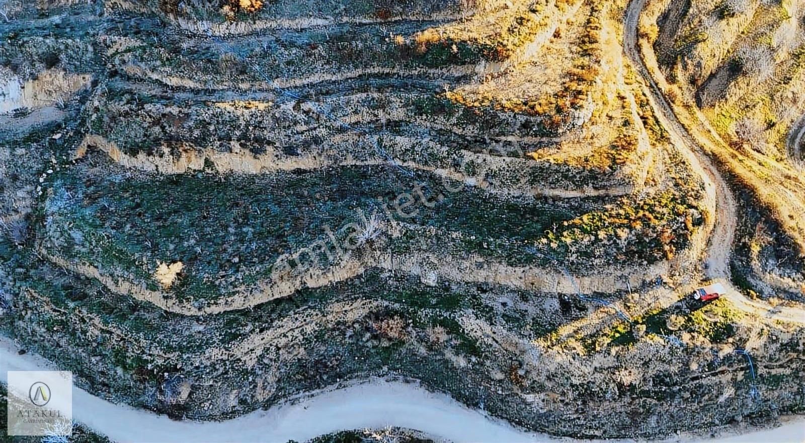 Atakul Gayrimenkul-cevizalan'da 5818m2 Köy İçi Satılık Tarla - Görsel 7