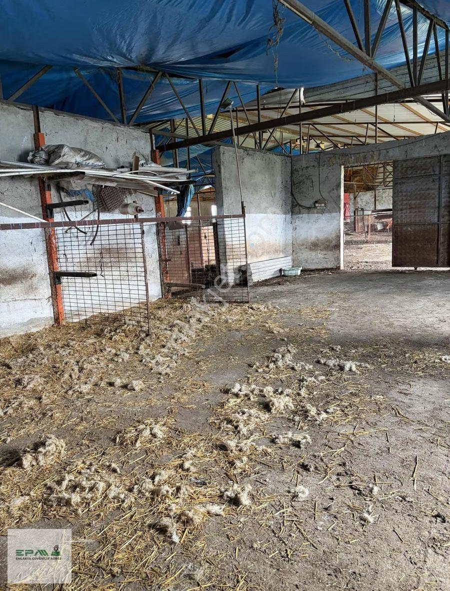Uzunköprüde 15 Dönüm Çiftlik Evi Ve Çiftlik Full Donanım Fırsat! - Görsel 4