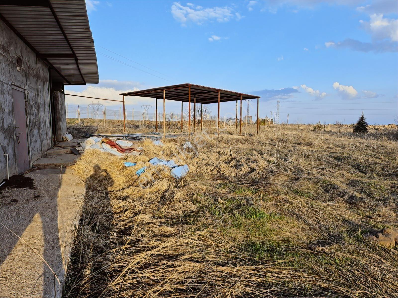 Devegeçidi Baraj Yolunda Yola Sıfır Müstakil Parselde Villa.... - Görsel 18
