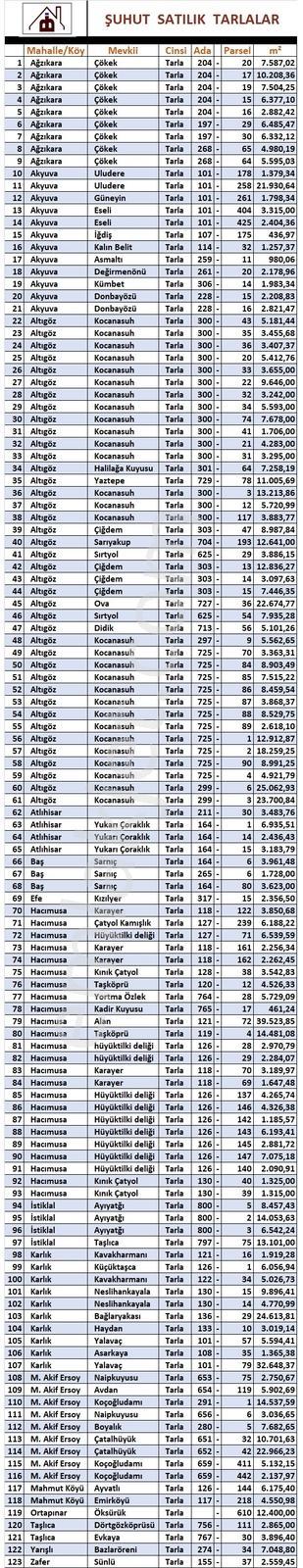 İlbey // Şuhut Satılık Tarla - Görsel 2