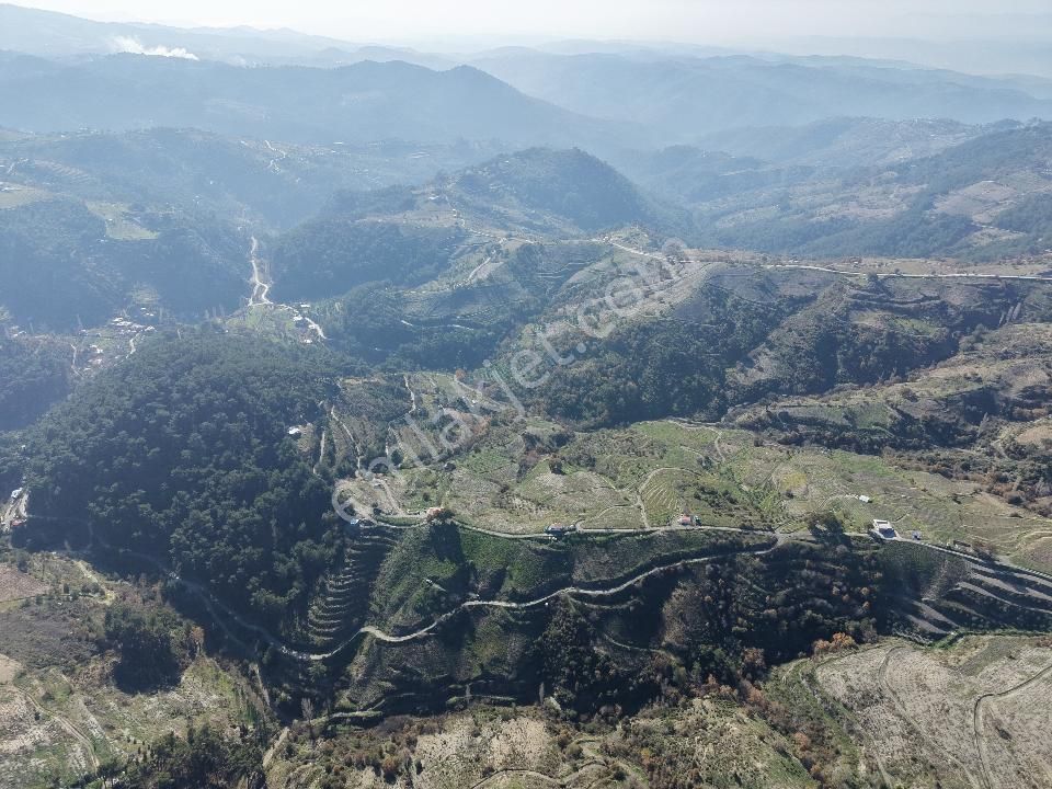 İzmir Karabağlar Kavacık Köyü'nde Satılık 6.754 M2 Bağ/bahçe - Görsel 7