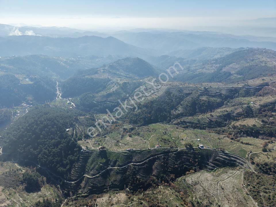 İzmir Karabağlar Kavacık Köyü'nde Satılık 6.754 M2 Bağ/bahçe - Görsel 2