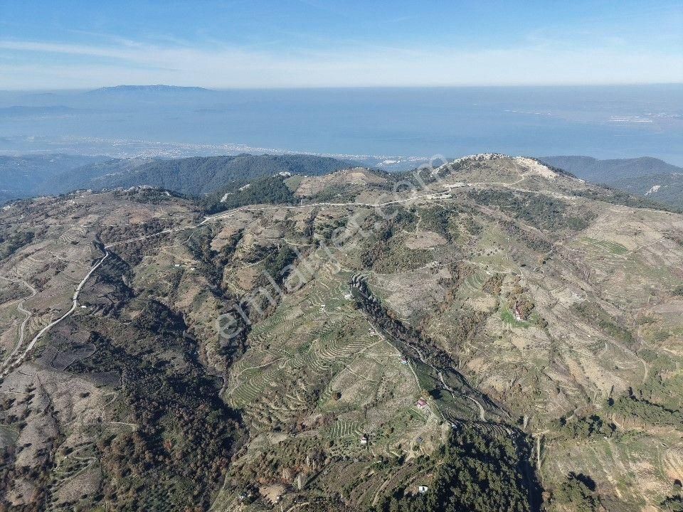 İzmir Karabağlar Kavacık Köyü'nde Satılık 6.754 M2 Bağ/bahçe - Görsel 15