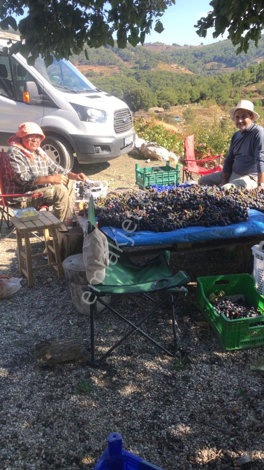 İzmir Karabağlar Kavacık Köyü'nde Satılık 6.754 M2 Bağ/bahçe - Görsel 24