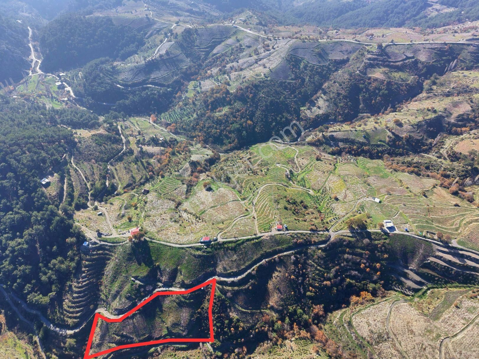 İzmir Karabağlar Kavacık Köyü'nde Satılık 6.754 M2 Bağ/bahçe - Görsel 18