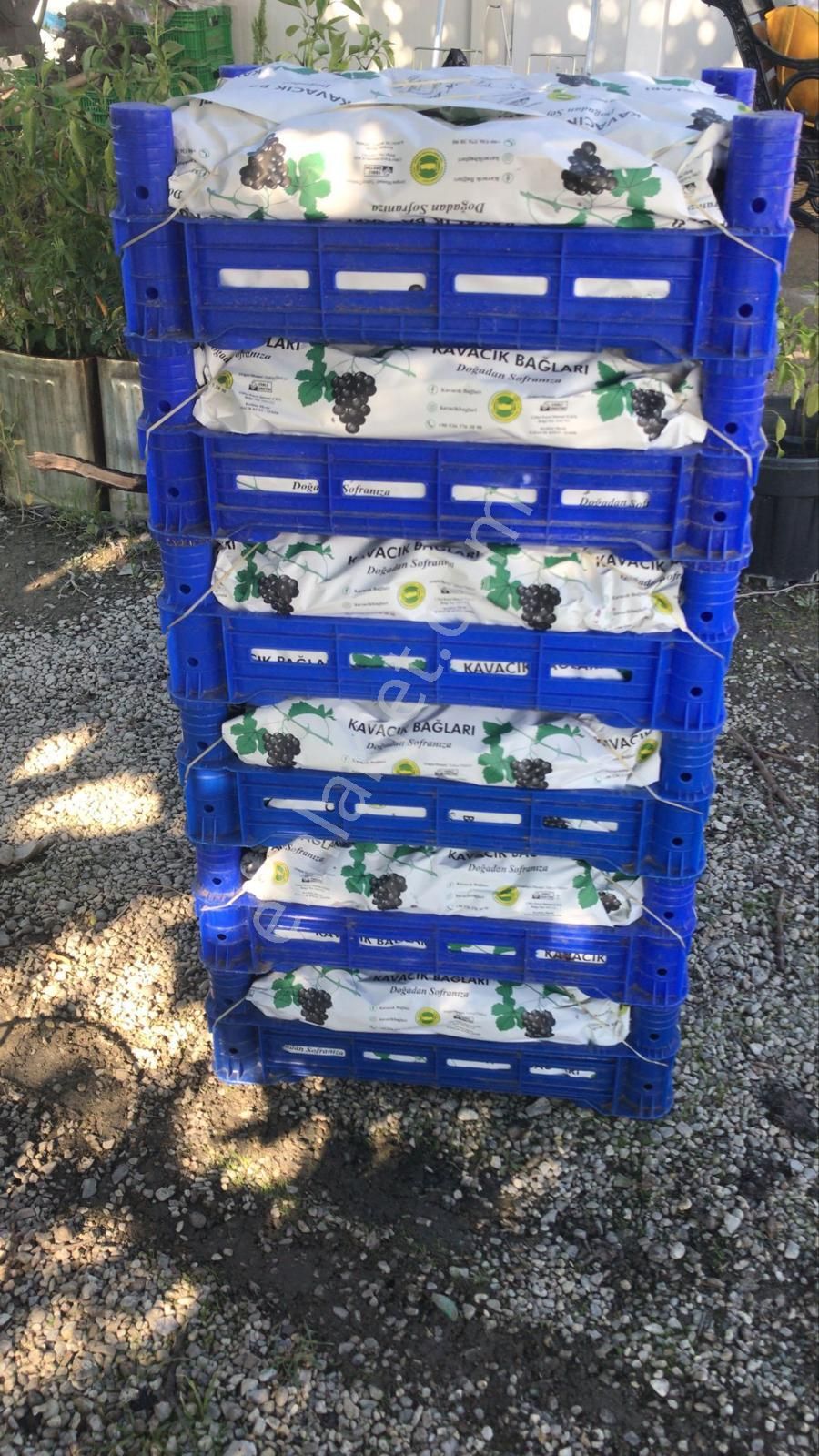 İzmir Karabağlar Kavacık Köyü'nde Satılık 6.754 M2 Bağ/bahçe - Görsel 34