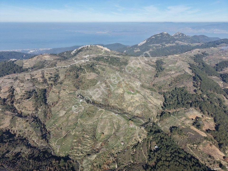 İzmir Karabağlar Kavacık Köyü'nde Satılık 6.754 M2 Bağ/bahçe - Görsel 16