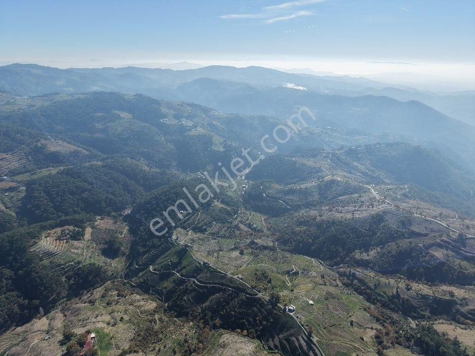 İzmir Karabağlar Kavacık Köyü'nde Satılık 6.754 M2 Bağ/bahçe - Görsel 10