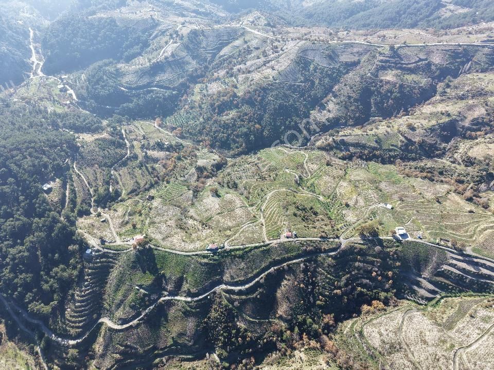 İzmir Karabağlar Kavacık Köyü'nde Satılık 6.754 M2 Bağ/bahçe - Görsel 8