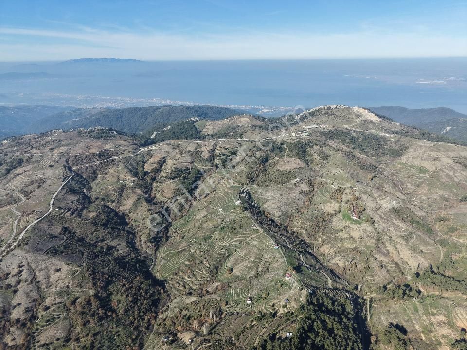 İzmir Karabağlar Kavacık Köyü'nde Satılık 6.754 M2 Bağ/bahçe - Görsel 3