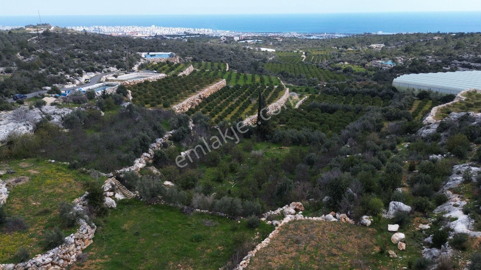 3,850 M2 Tarla Deniz Manzaralı Şehre Yakın - Görsel 8