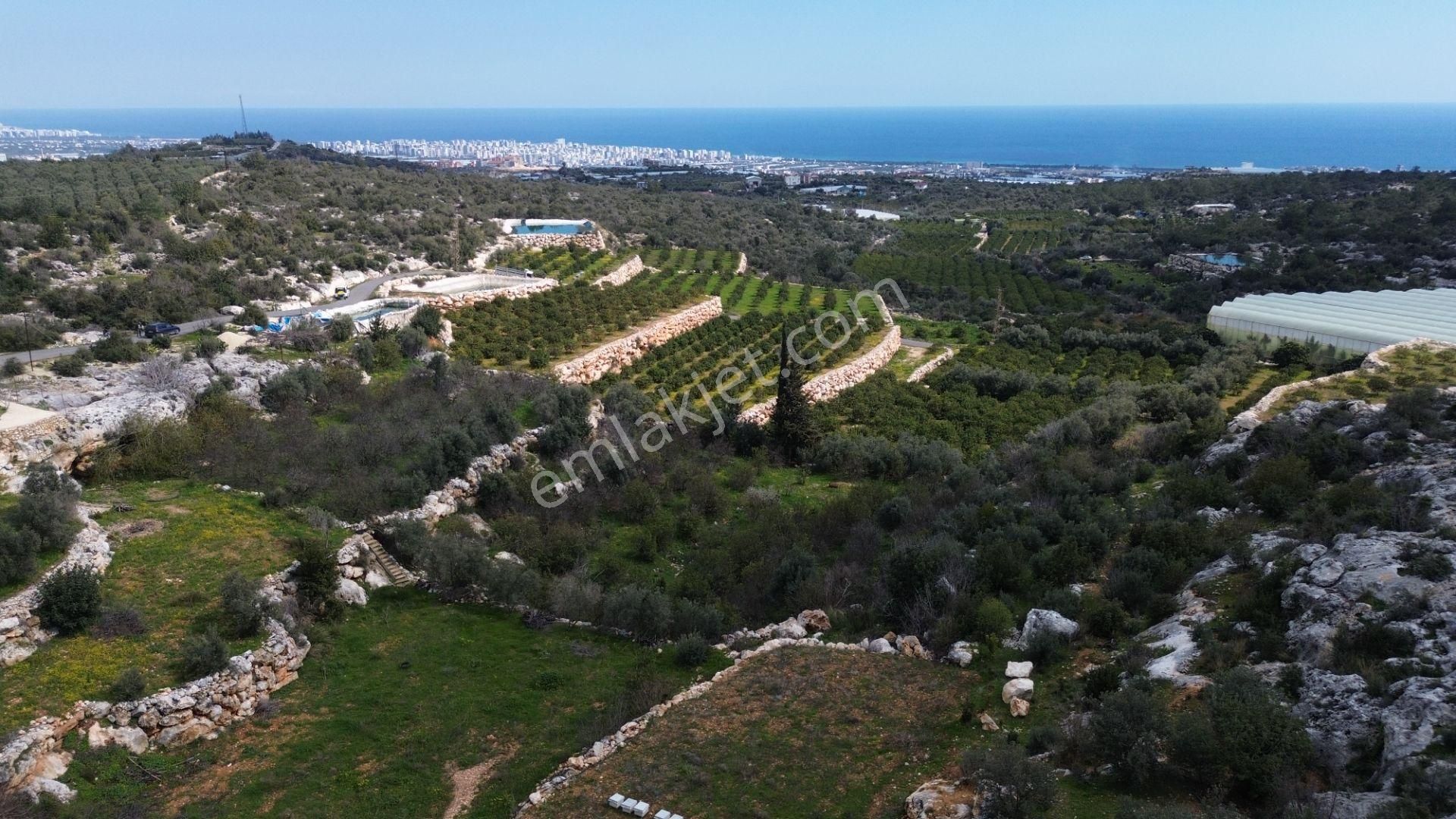 3,850 M2 Tarla Deniz Manzaralı Şehre Yakın - Görsel 5