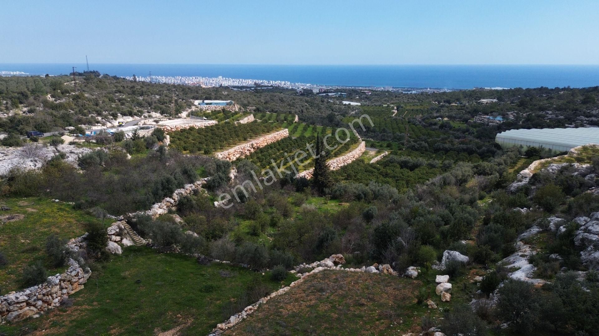 3,850 M2 Tarla Deniz Manzaralı Şehre Yakın - Görsel 4