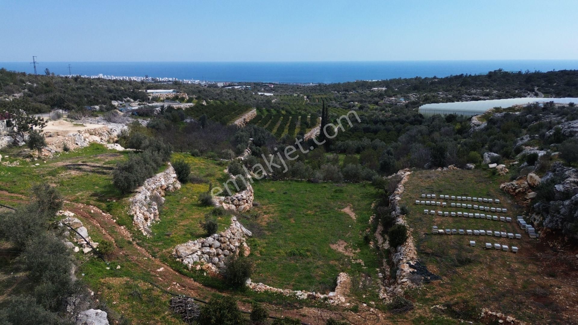 3,850 M2 Tarla Deniz Manzaralı Şehre Yakın - Görsel 9