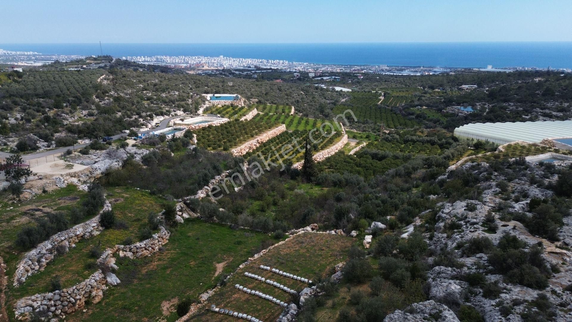 3,850 M2 Tarla Deniz Manzaralı Şehre Yakın - Görsel 7