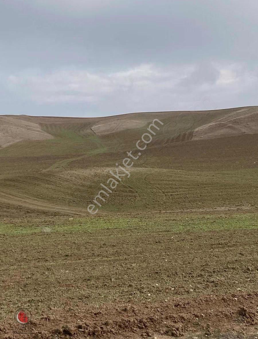 Özgür'den Yazıhan Karacada Satılık Tarla