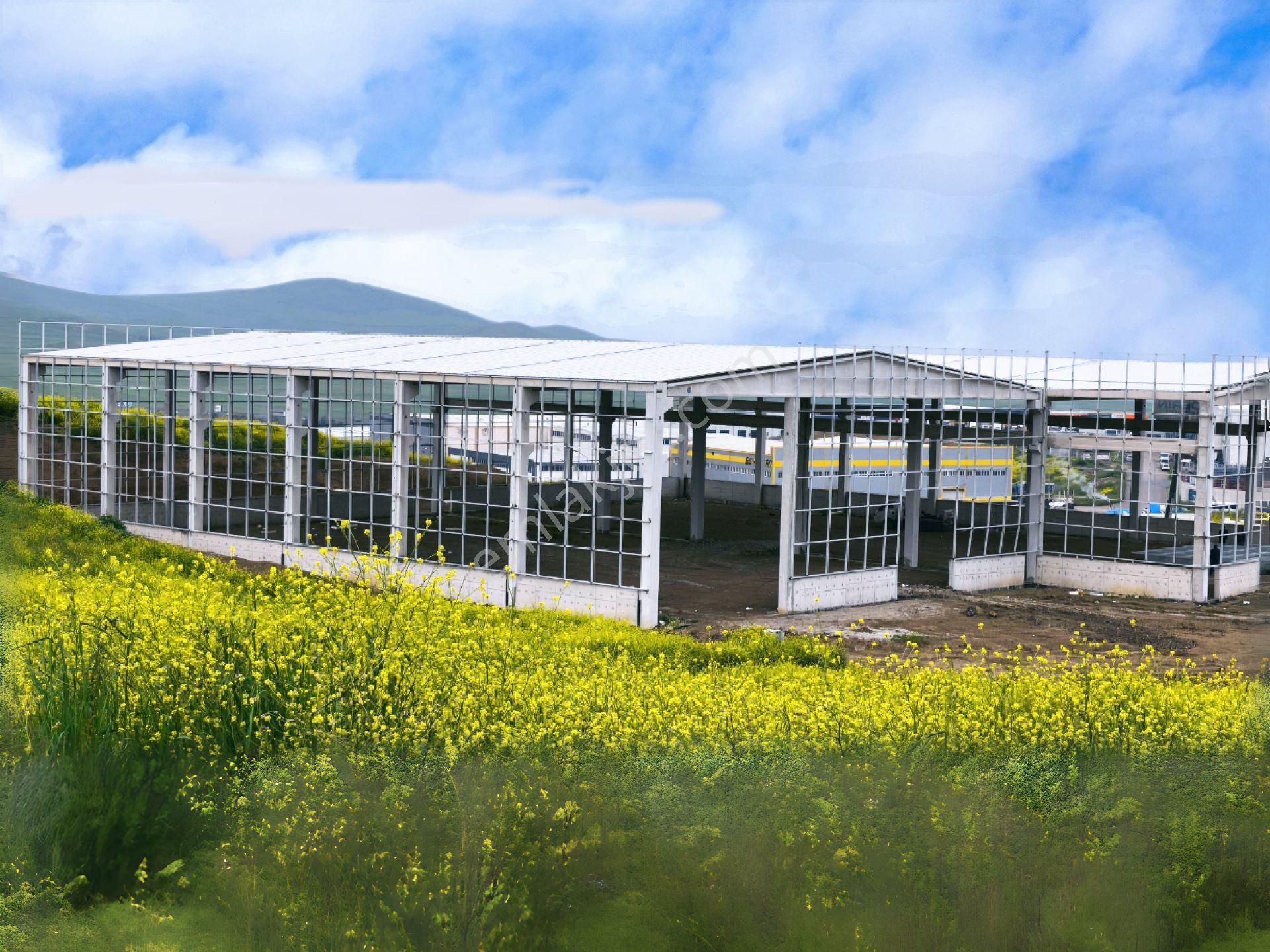 Saraykent Hab Yanı | 1600m² | 300kw | Hmax 12mt | 1100m² İşlik