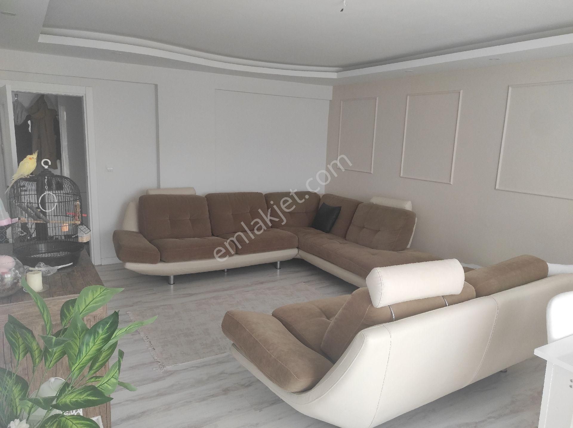 Zaferde Geniş Ferah Arakat Daire - Görsel 3