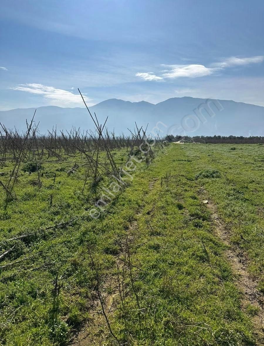 Bursa Emlak Alem-i Çeltikçi Resmi Yolu Olan 2.468m2 Acil Satılık - Görsel 14