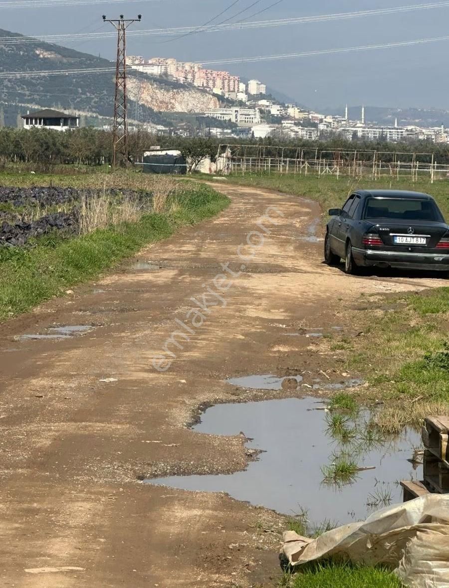 Bursa Emlak Alem-i Çeltikçi Resmi Yolu Olan 2.468m2 Acil Satılık - Görsel 13