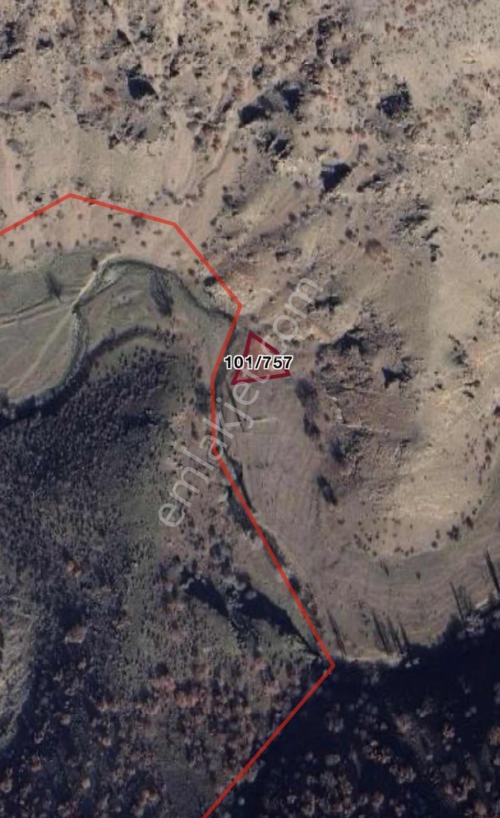 Ankara Ayaş Yağmurdede İlhan Çayı Kenarı 441 M2 Hisse - Görsel 11
