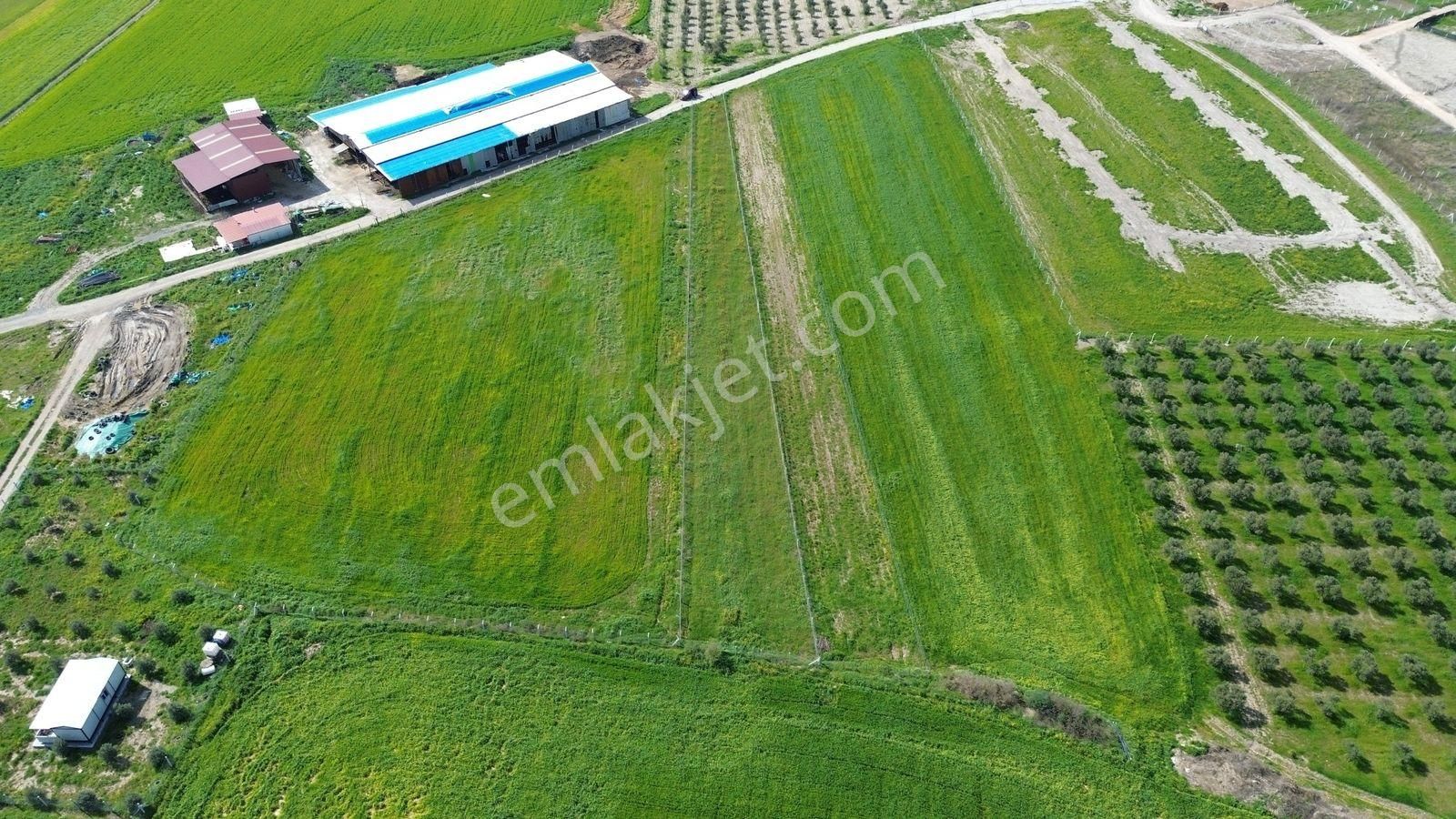 Menderes Cumaovası'nda 1500 M² Etrafı Çevrilmiş Satılık Tarla - Görsel 18