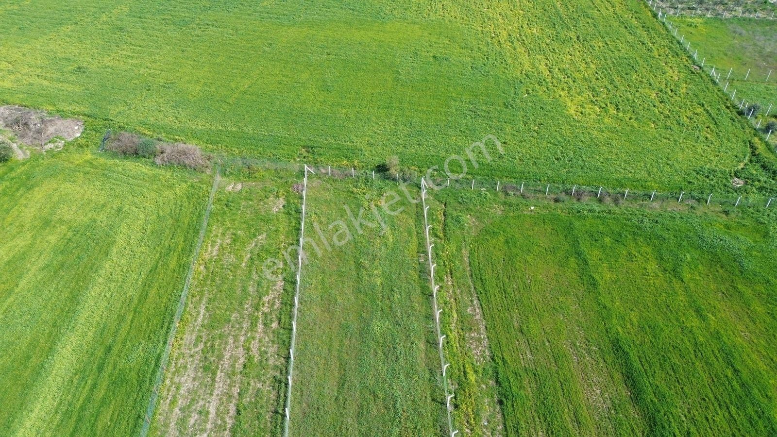 Menderes Cumaovası'nda 1500 M² Etrafı Çevrilmiş Satılık Tarla - Görsel 17