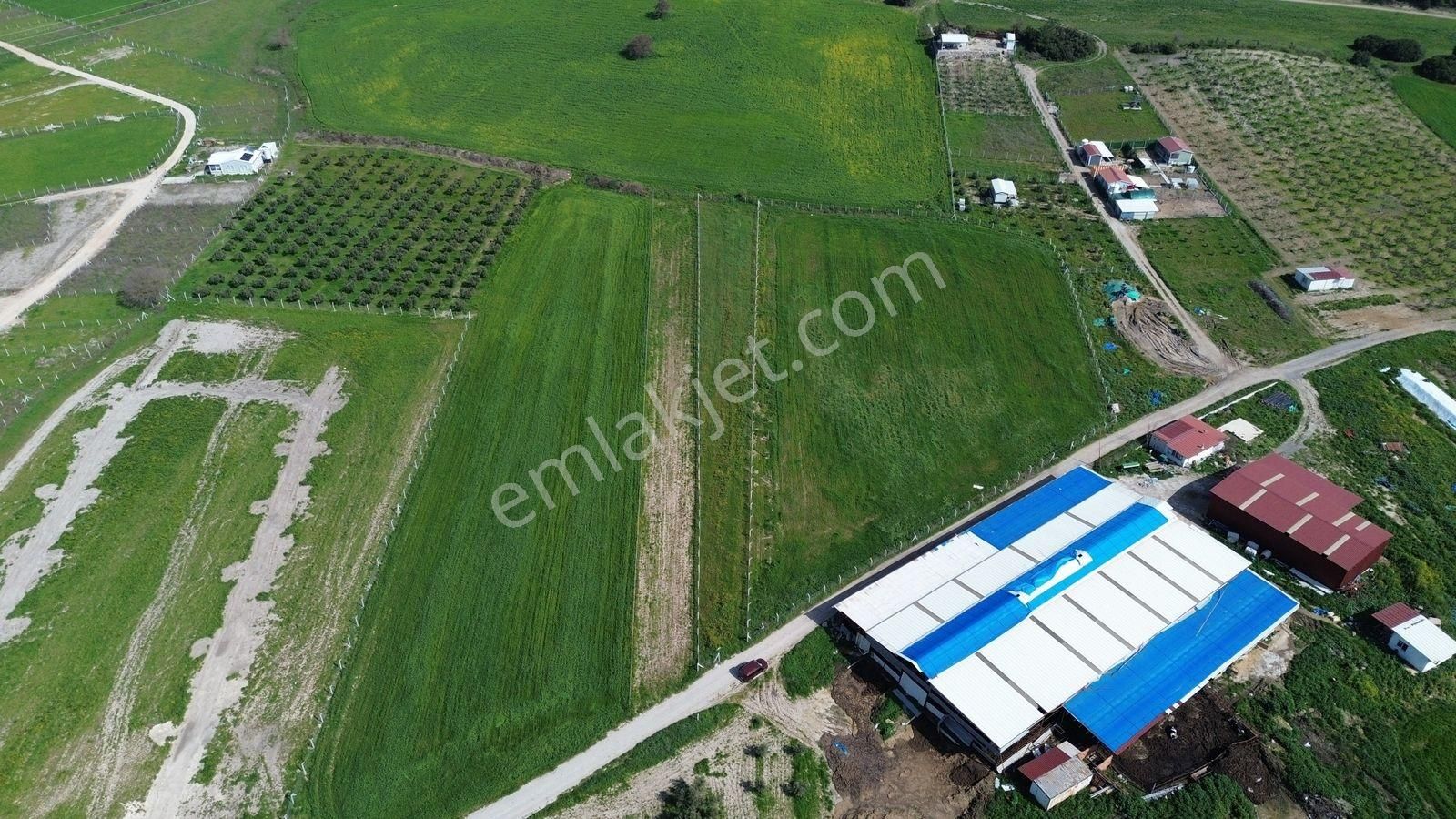 Menderes Cumaovası'nda 1500 M² Etrafı Çevrilmiş Satılık Tarla - Görsel 7