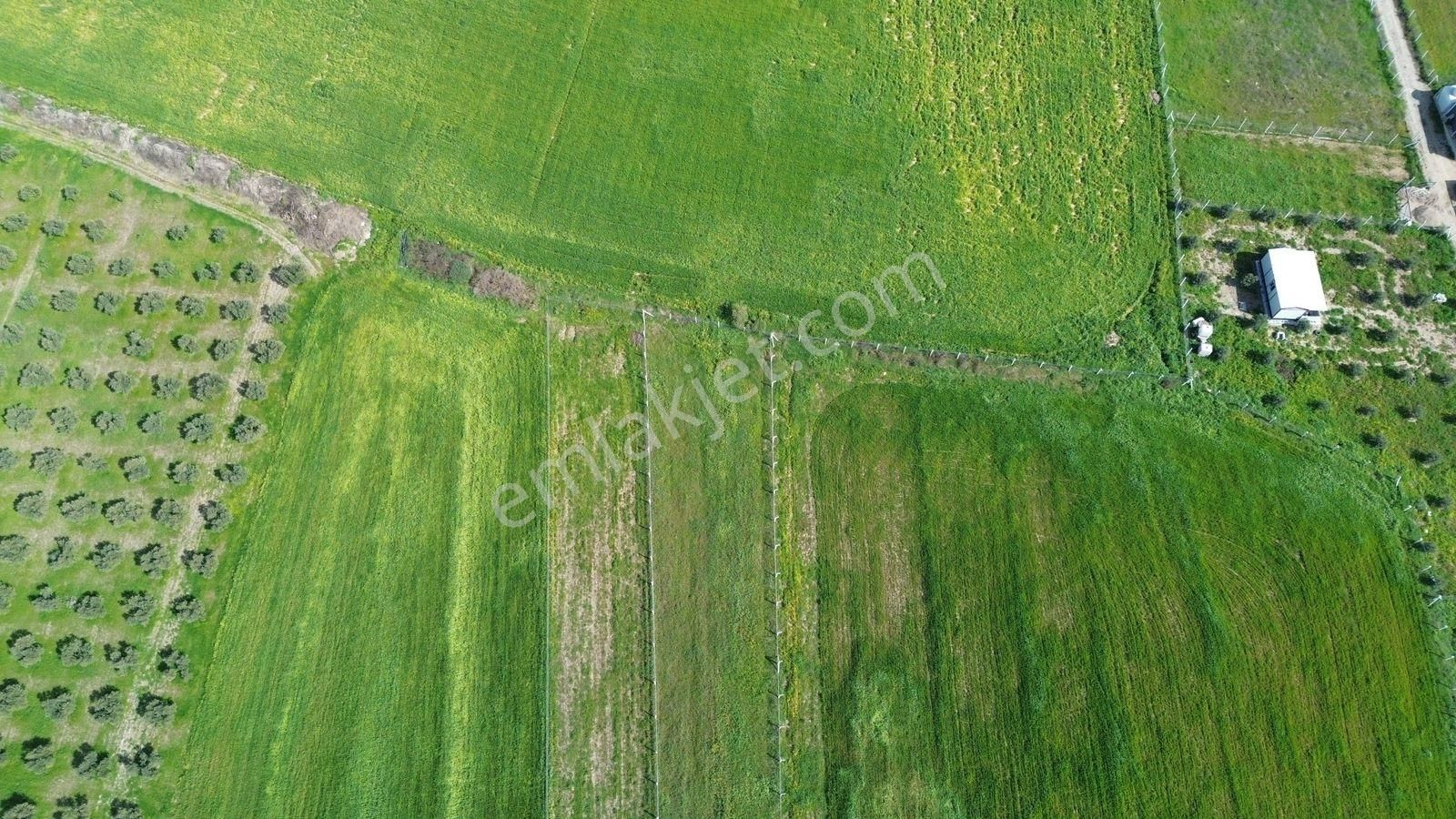 Menderes Cumaovası'nda 1500 M² Etrafı Çevrilmiş Satılık Tarla - Görsel 9