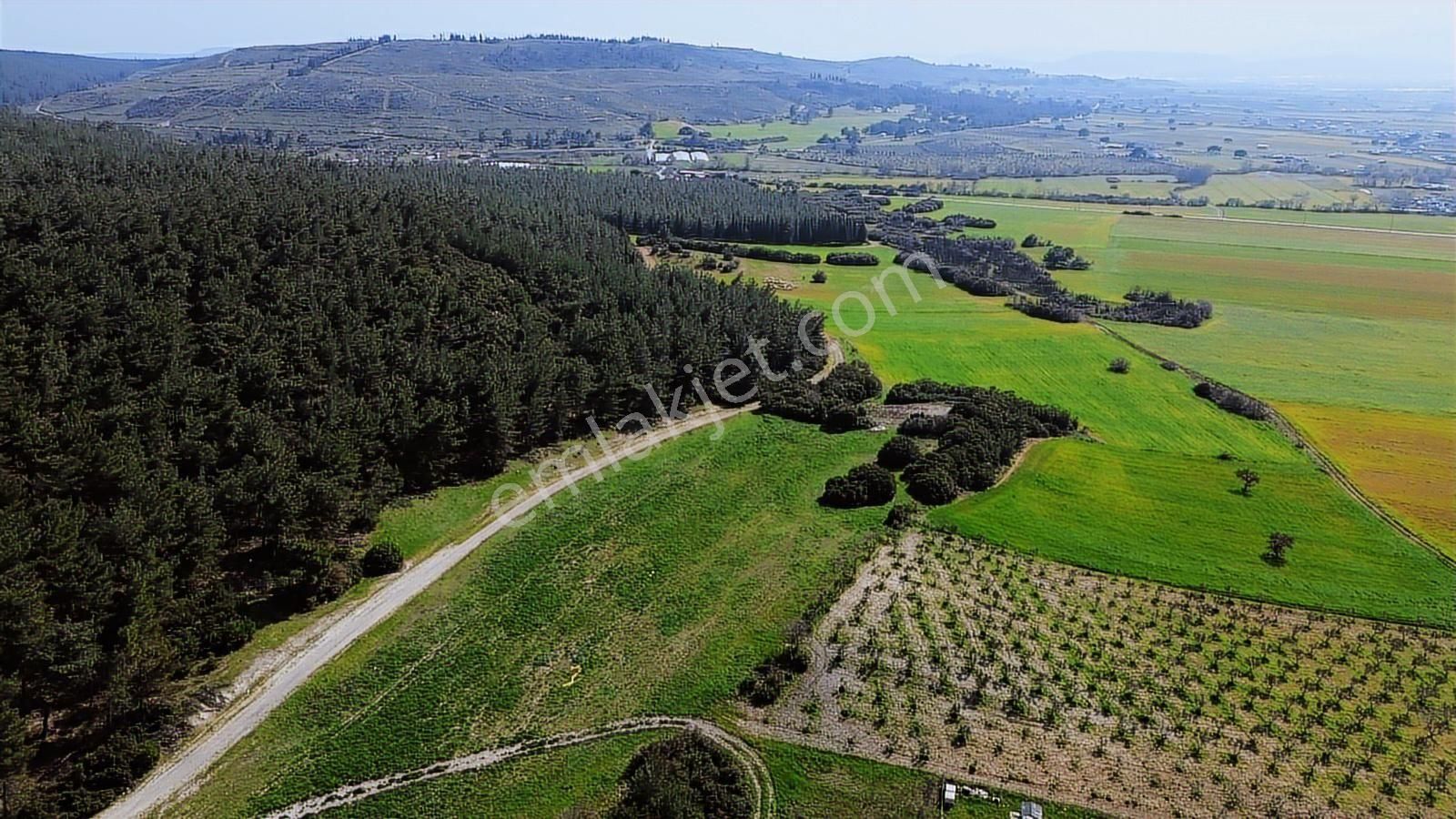 Menderes Cumaovası'nda 1500 M² Etrafı Çevrilmiş Satılık Tarla - Görsel 23