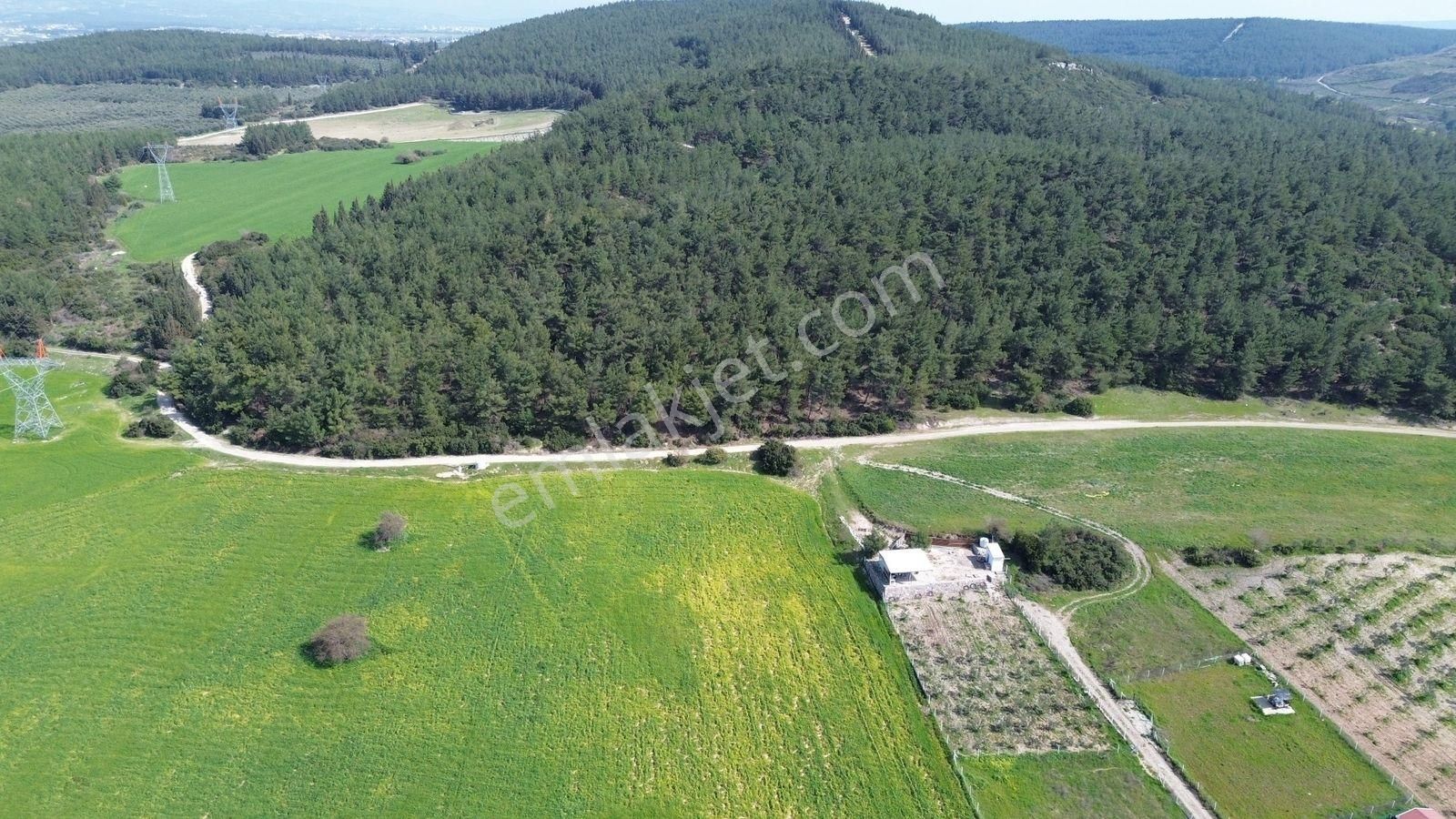 Menderes Cumaovası'nda 1500 M² Etrafı Çevrilmiş Satılık Tarla - Görsel 21