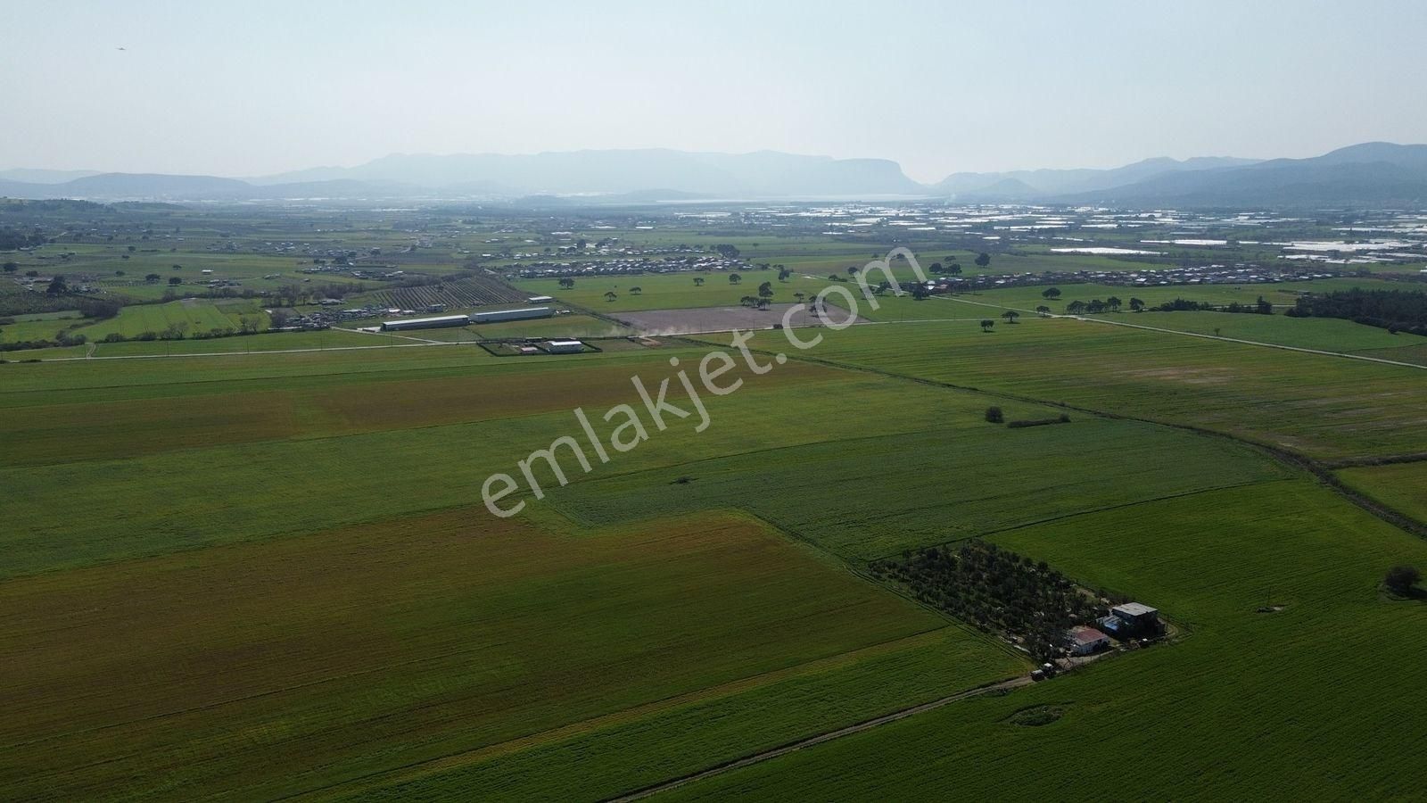 Menderes Cumaovası'nda 1500 M² Etrafı Çevrilmiş Satılık Tarla - Görsel 27