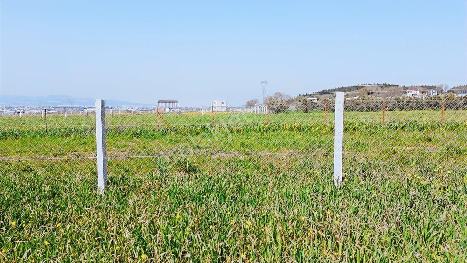 Menderes Cumaovası'nda 1500 M² Etrafı Çevrilmiş Satılık Tarla - Görsel 16