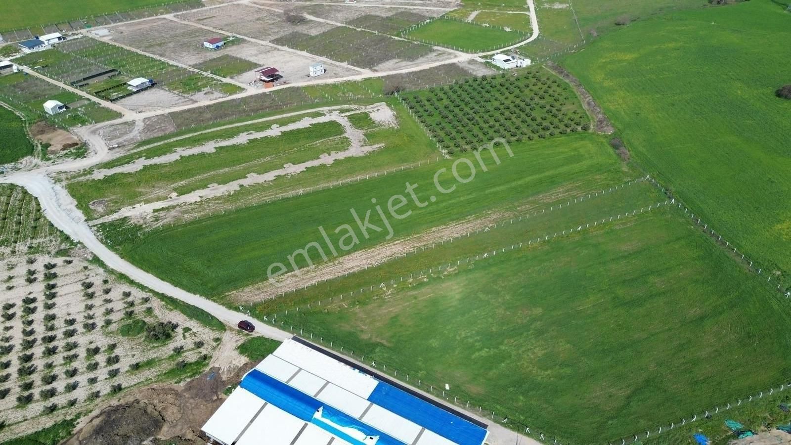 Menderes Cumaovası'nda 1500 M² Etrafı Çevrilmiş Satılık Tarla - Görsel 8