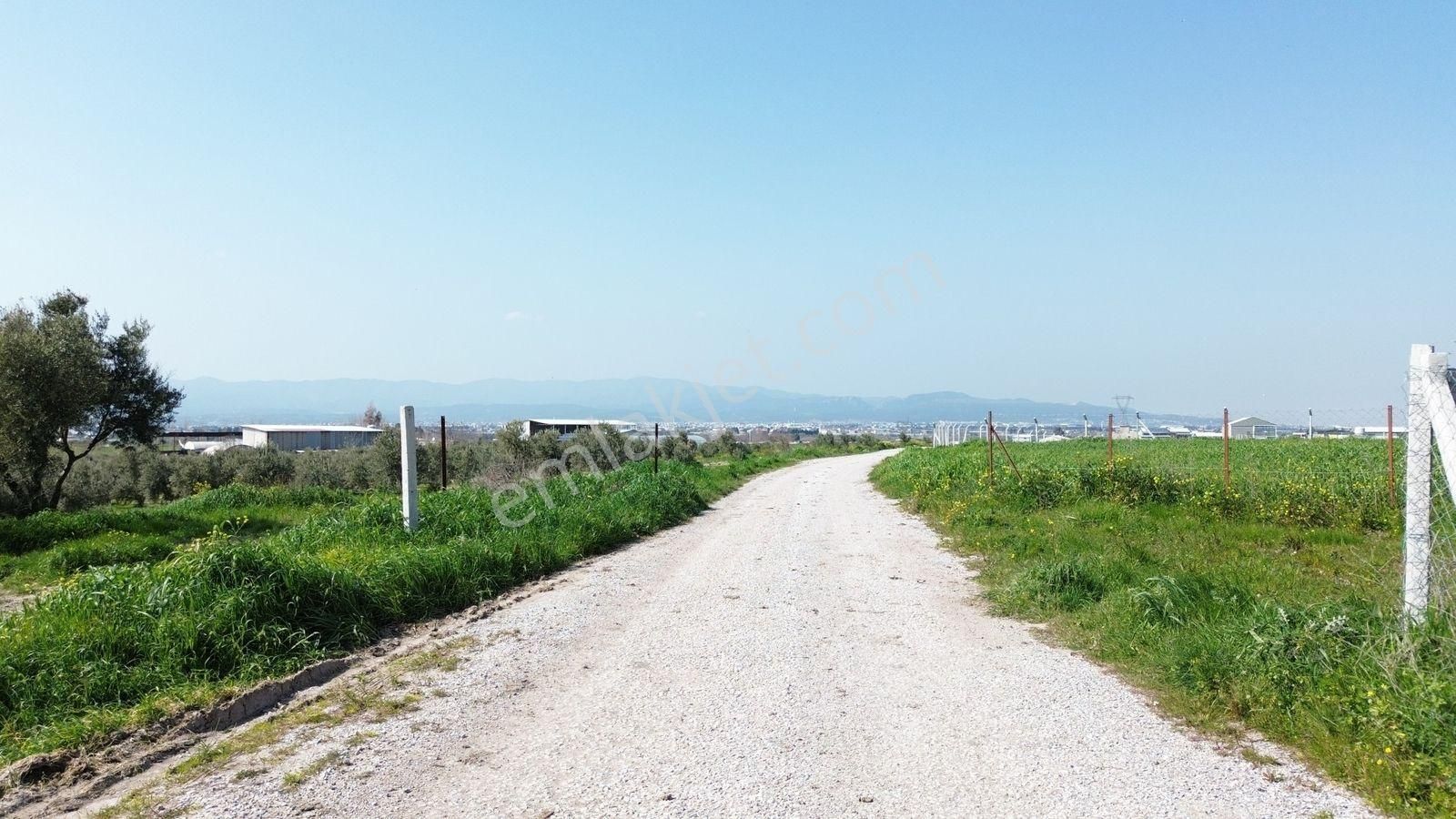 Menderes Cumaovası'nda 1500 M² Etrafı Çevrilmiş Satılık Tarla - Görsel 33