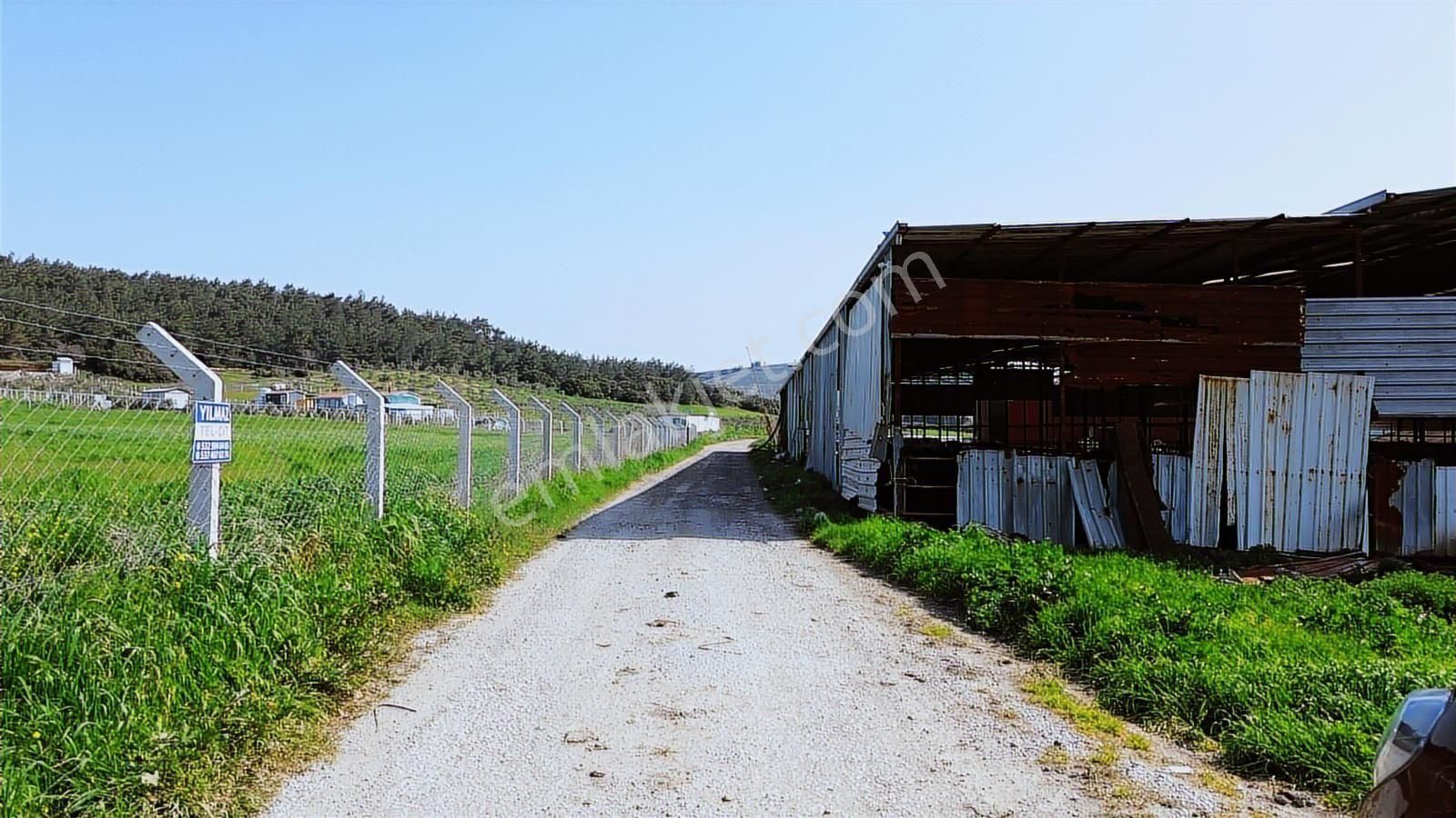 Menderes Cumaovası'nda 1500 M² Etrafı Çevrilmiş Satılık Tarla - Görsel 32