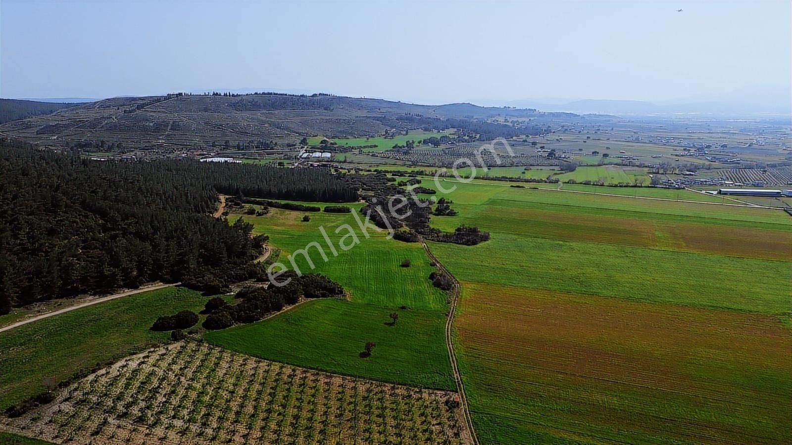 Menderes Cumaovası'nda 1500 M² Etrafı Çevrilmiş Satılık Tarla - Görsel 25