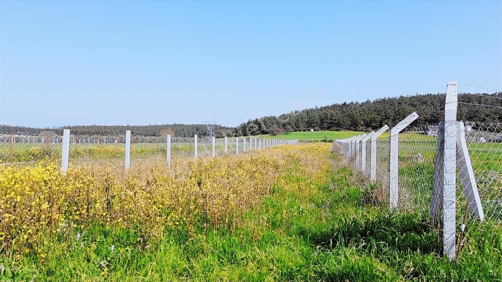 Menderes Cumaovası'nda 1500 M² Etrafı Çevrilmiş Satılık Tarla - Görsel 14