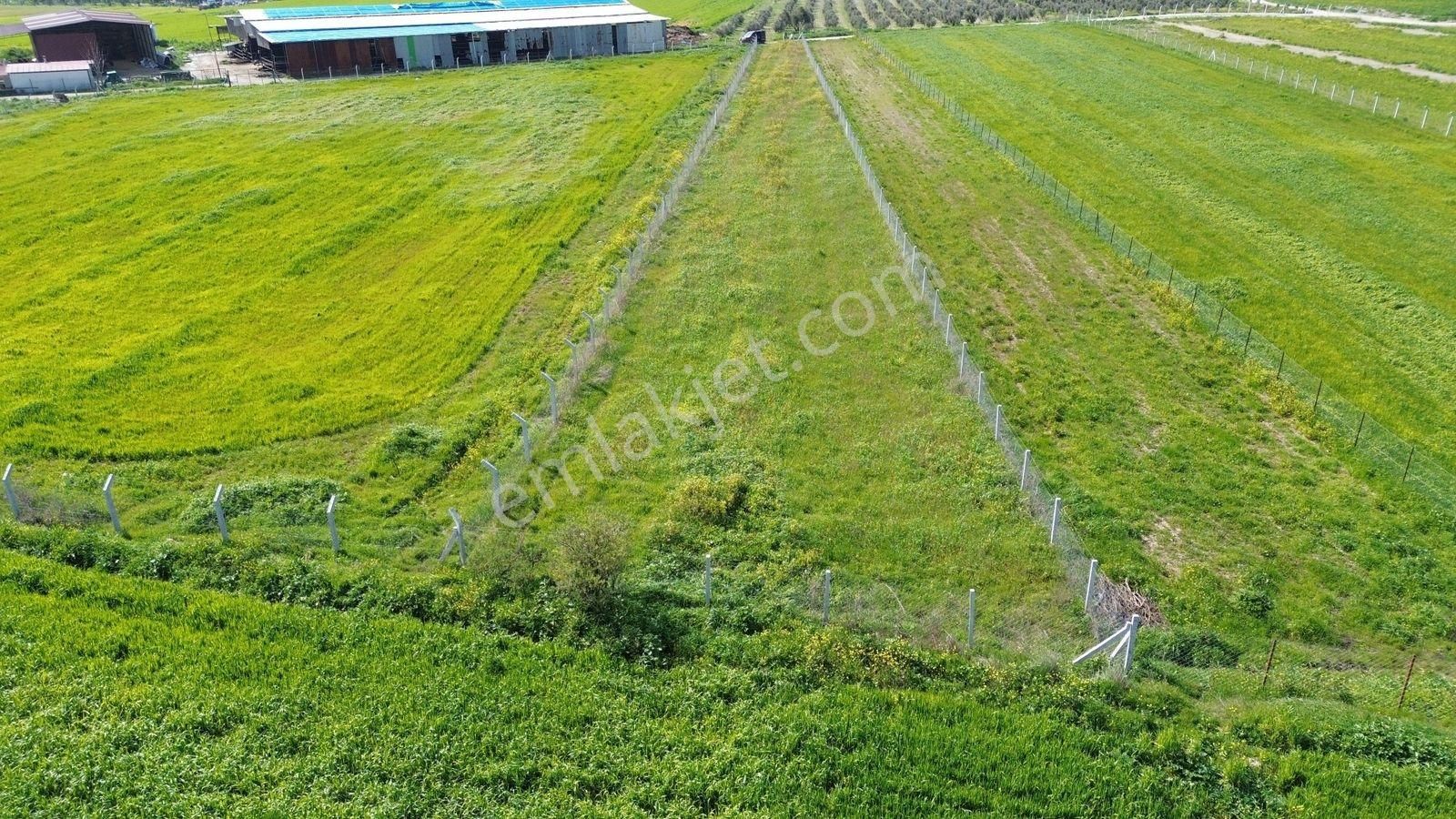 Menderes Cumaovası'nda 1500 M² Etrafı Çevrilmiş Satılık Tarla - Görsel 10