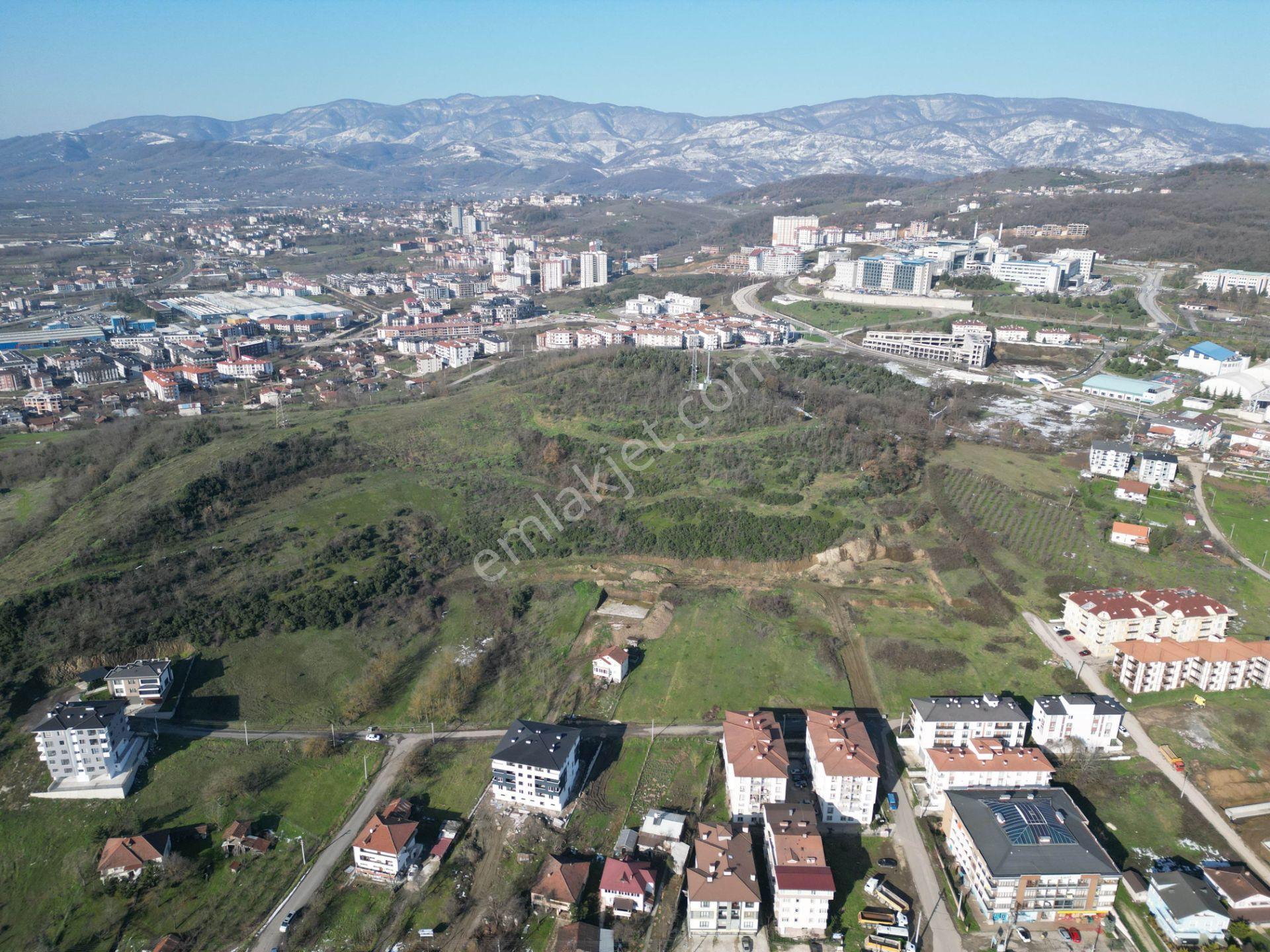 Konuralp Üniversite Yerleşkesi'nde 1564 M2 Satılık Arsa - Görsel 30