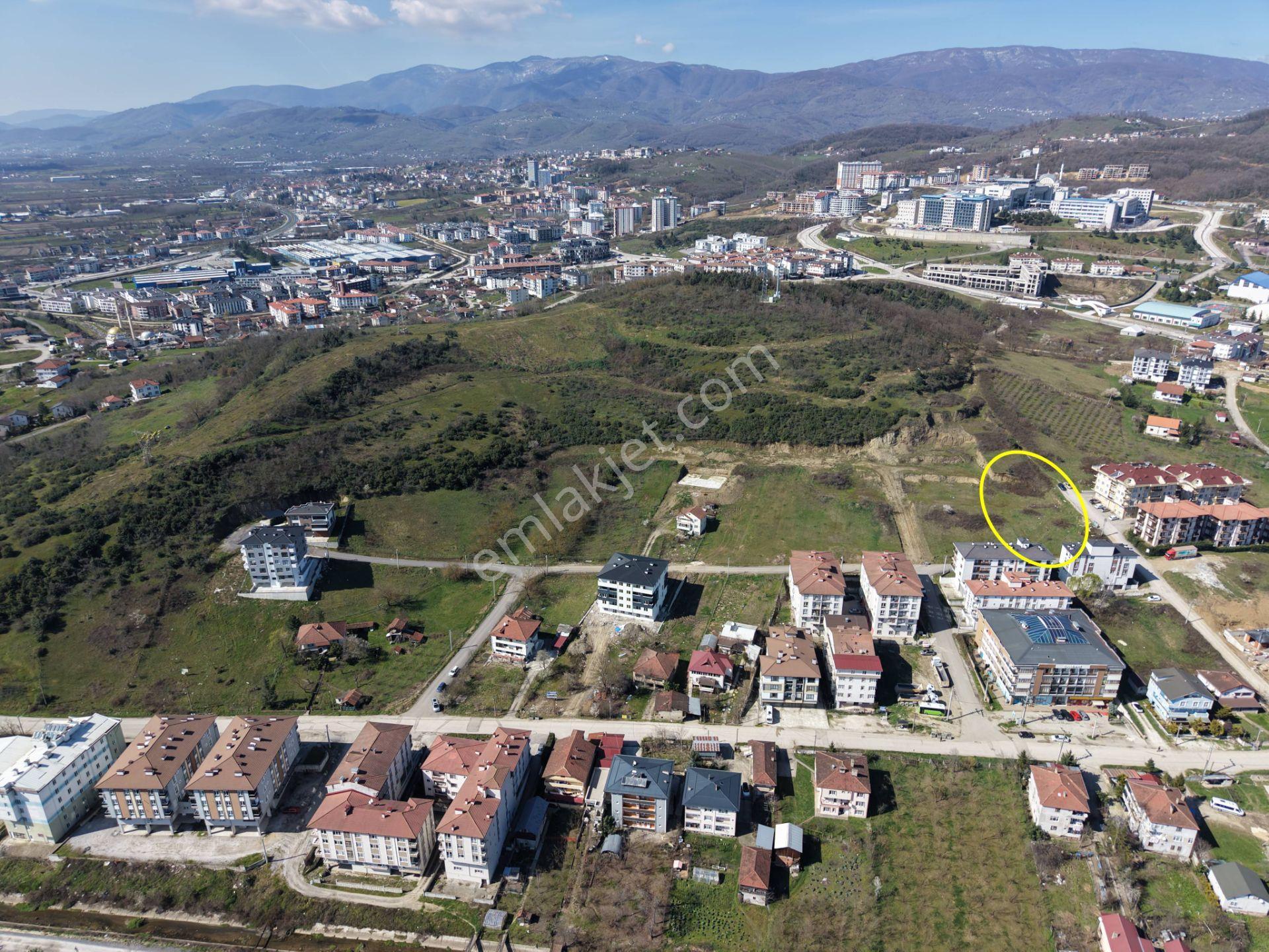 Konuralp Üniversite Yerleşkesi'nde 1564 M2 Satılık Arsa - Görsel 34